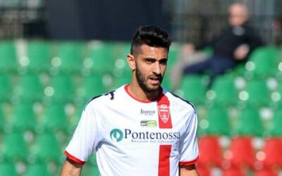 Andrea Palazzi in Grigio