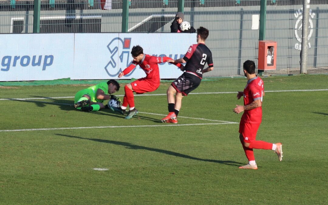 Campioni d’Inverno