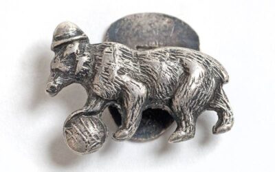 La storia quasi verosimile dell’Orso Grigio