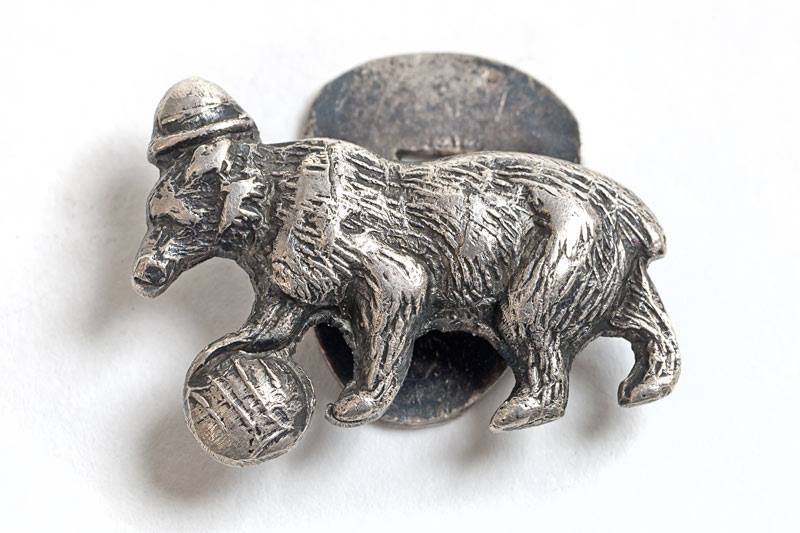 La storia quasi verosimile dell’Orso Grigio