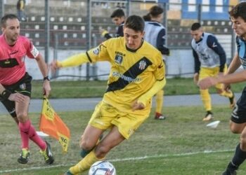 Grigi, ingaggiato il difensore Andrea Cambiaso