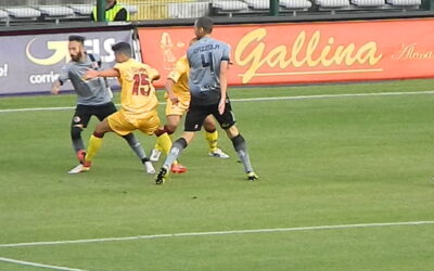 A “L’orso in diretta” tutto su Alessandria-Livorno