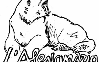 Zero calcoli. Solo vincere!