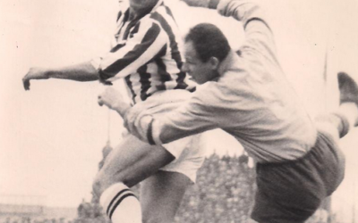 Dal Diavolo all’Orso Grigio