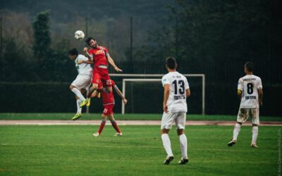 La storia delle avventure romane dell’Orso Grigio