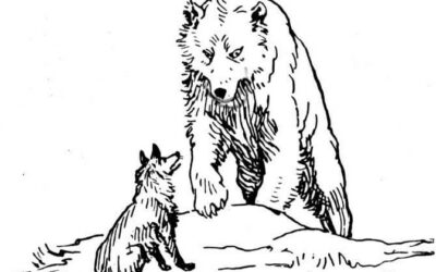 Il Lupo giallorosso nella tana dell’Orso Grigio