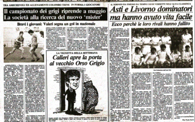 I Grigi in punta di matita